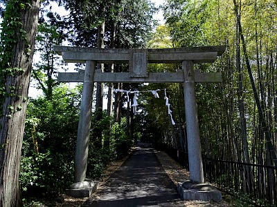 雨武主神社
