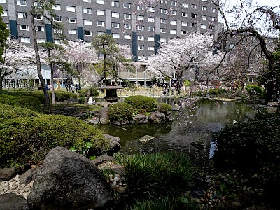 プリンスホテル 日本庭園