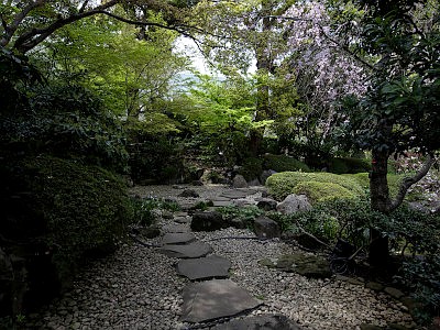 プリンスホテル 日本庭園