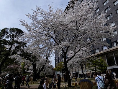 プリンスホテル 日本庭園