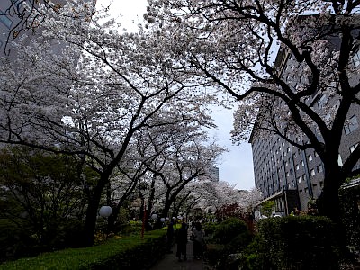 プリンスホテル 日本庭園