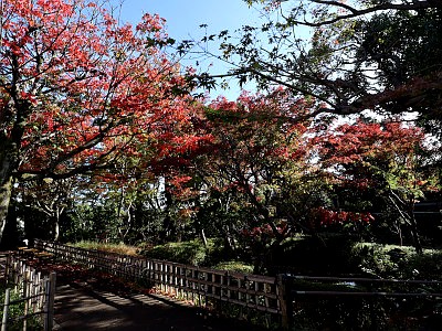 山王草堂記念館