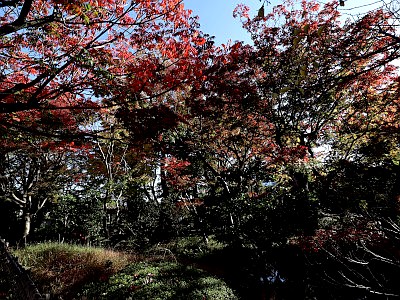 山王草堂記念館