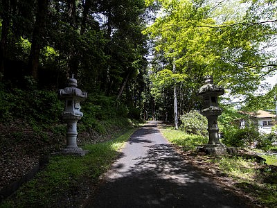 虎柏神社
