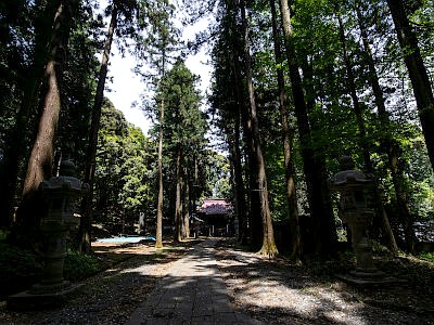 虎柏神社
