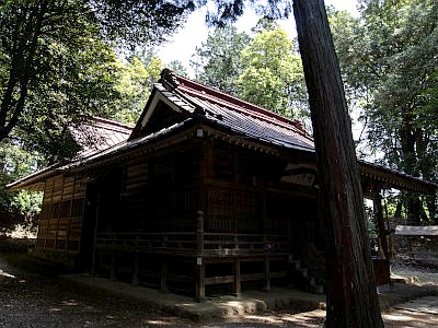 虎柏神社