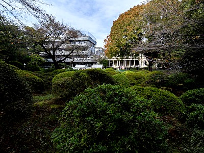 清泉女子大学 旧島津家本邸