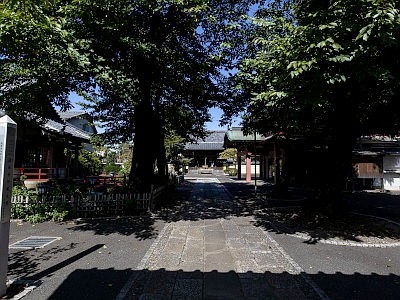 蓮華寺