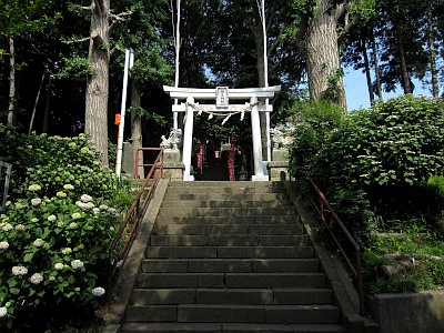 弥生神社