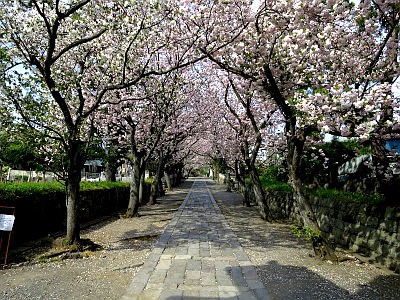 遊行寺（清浄光寺）