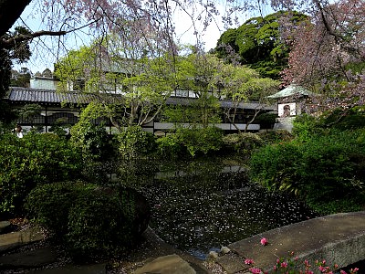 遊行寺（清浄光寺）