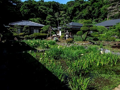 遊行寺（清浄光寺）