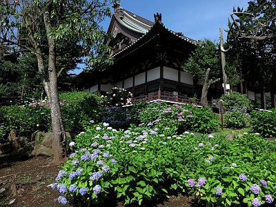 遊行寺（清浄光寺）