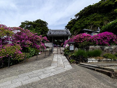 安養院