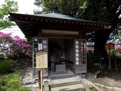 安養院
