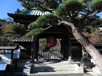 長谷寺