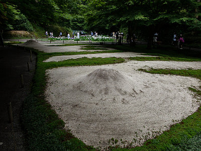明月院 アジサイ