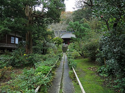 妙法寺
