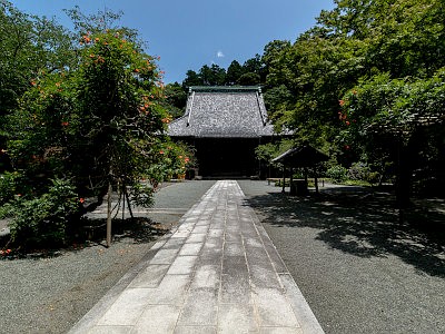 妙本寺