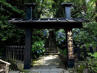 妙本寺