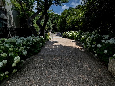 鎌倉歴史文化交流館
