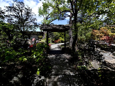 鶴岡八幡宮 神苑ぼたん庭園
