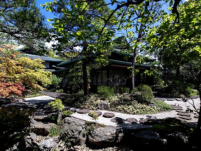 鶴岡八幡宮 神苑ぼたん庭園