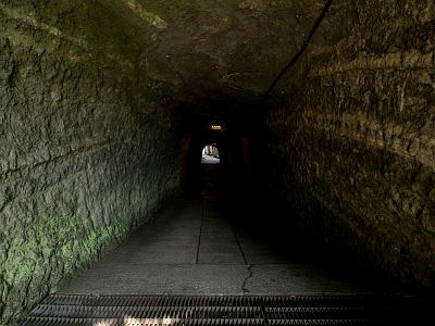 銭洗弁財天宇賀福神社