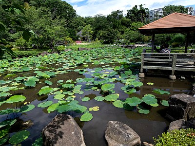 馬場花木園