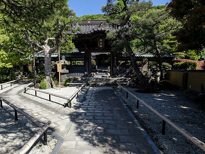 本蓮寺