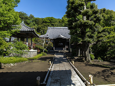 本蓮寺