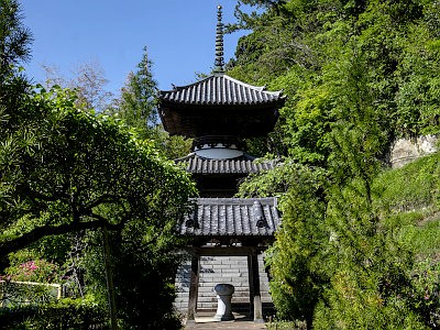 本蓮寺