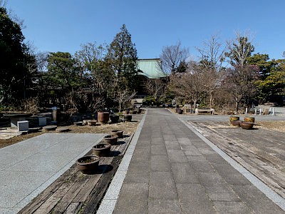 髙願寺