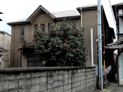 国府津の商家町