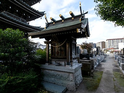 泉龍寺