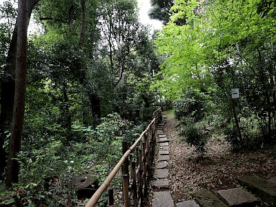 日吉の森庭園美術館