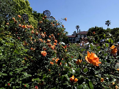 港の見える丘公園