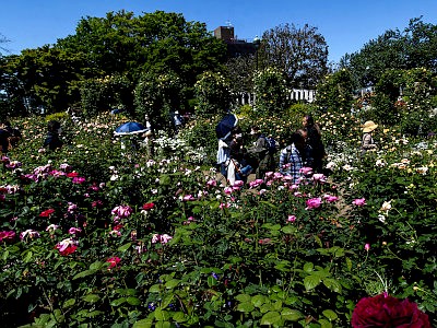 港の見える丘公園