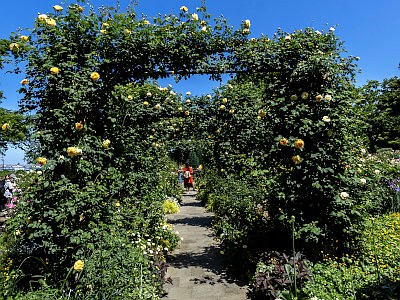 港の見える丘公園