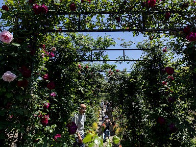 港の見える丘公園