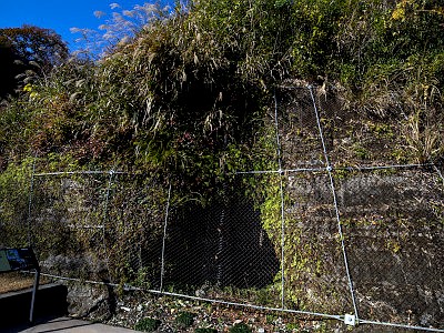 金沢八景権現山公園