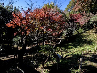 旧川合玉堂別邸（二松庵）庭園