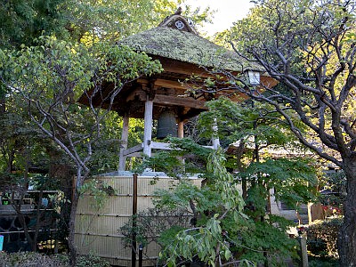 親縁寺