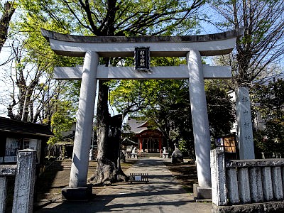 戸部杉山神社