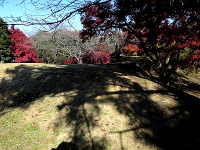 足利公園古墳群